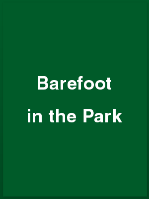 787302_barefoot-in-the-park_playbill